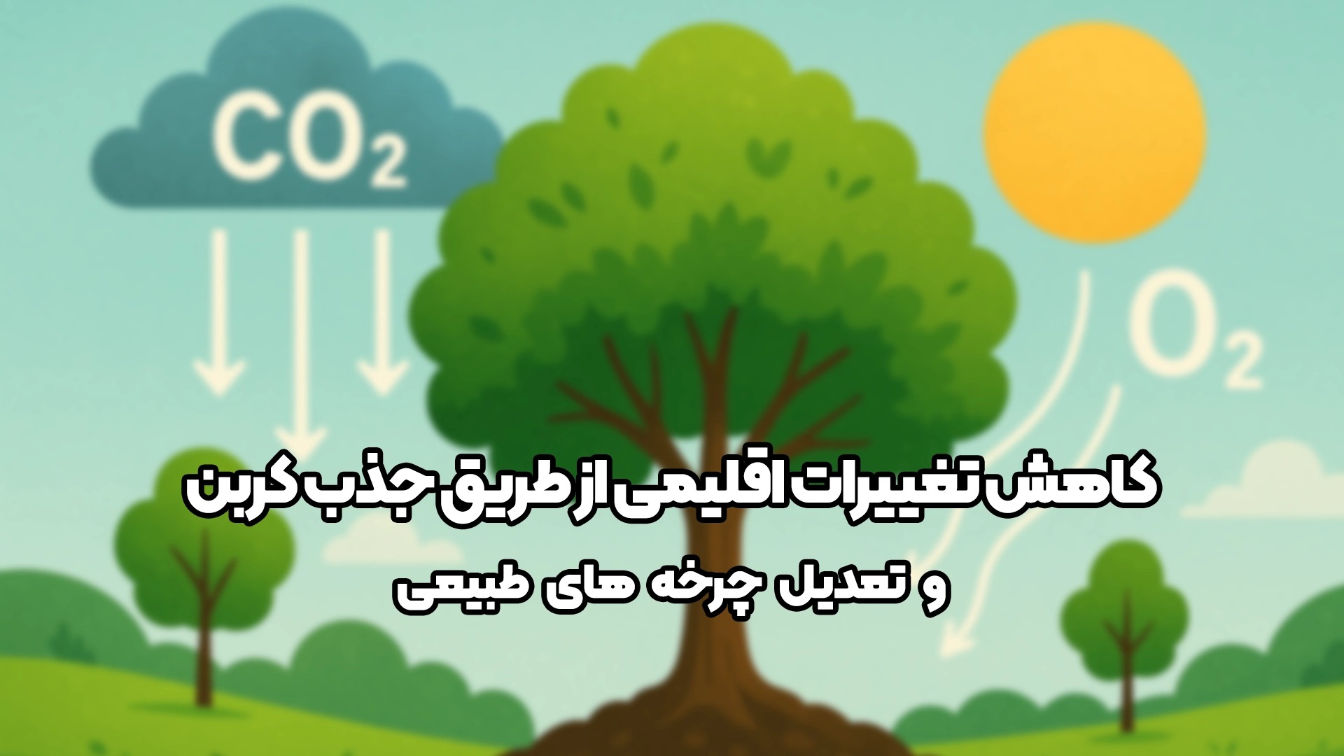 جذب کربن دی اکسید و تولید اکسیژن توسط درختان