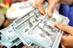 اتمام حجت فرزین با بازار ارز | دلار گران تر از  این قیمت نمی شود
