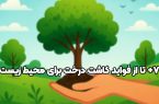۷+ تا از فواید کاشت درخت برای محیط‌زیست