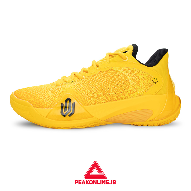 کفش بسکتبال