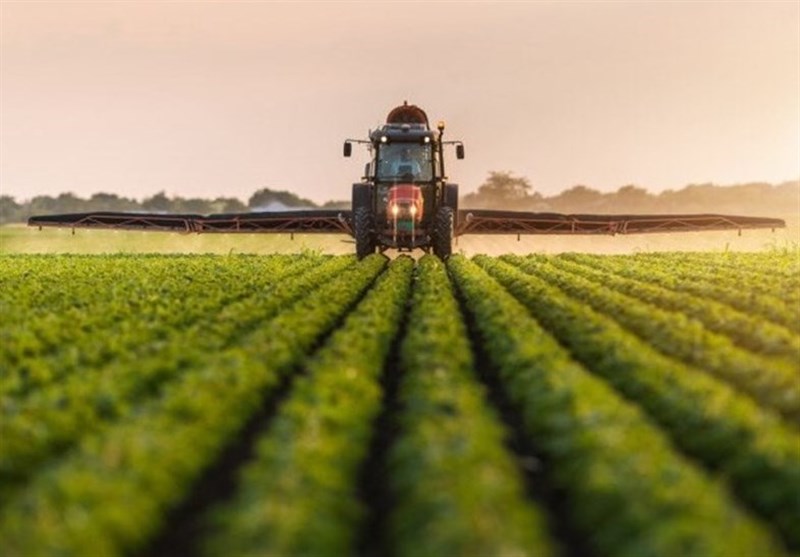 سیاست‌های جدید ارزی موجب بازنگری در آیین‌نامه کشت قراردادی شد