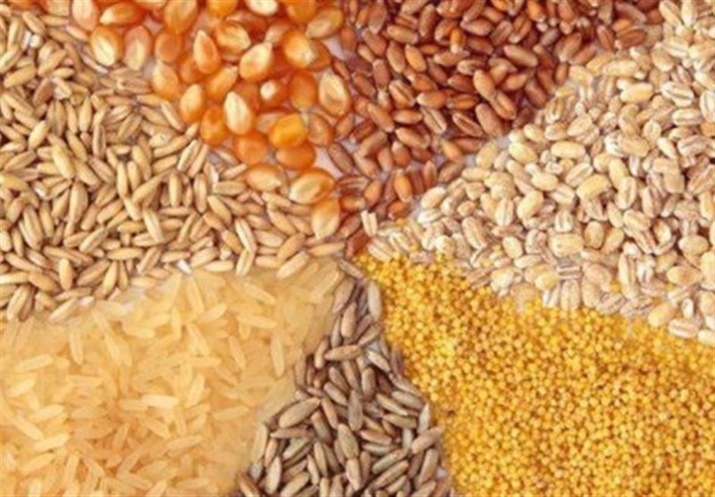 تحویل مدتدار نهاده دامی به مرغداران تصویب شد