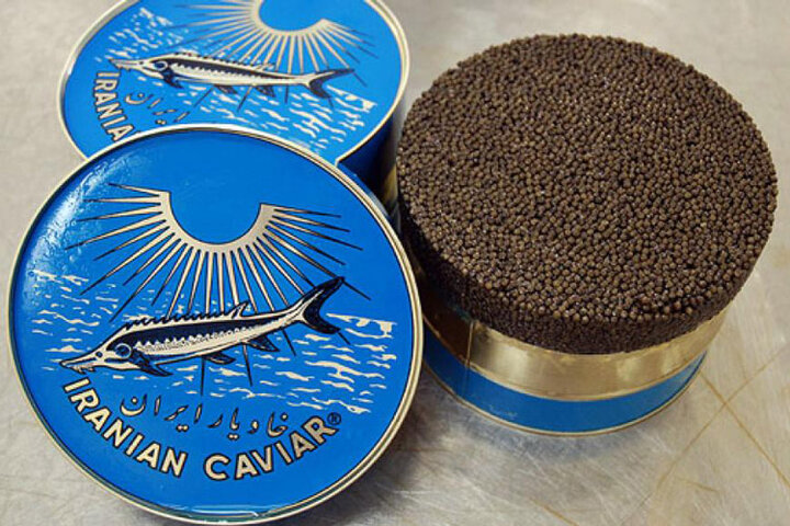 قیمت خاویار سنتی دربازارهای جهانی چقدر است؟| افزایش ۲۰۱درصدی میانگین قیمت خاویارسنتی ایران