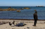ادامه بحران پناهجویی در سئوتا؛ سرنوشت صدها کودک همچنان نامشخص است