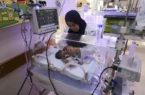 زندگیهای کوتاه و مادرانگیهای ناتمام زیر فشار نسلکشی رژیم صهیونیستی در غزه زندگیهای کوتاه و مادرانگیهای ناتمام زیر فشار نسلکشی رژیم صهیونیستی در غزه