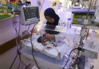 زندگی‌های کوتاه و مادرانگی‌های ناتمام زیر فشار نسل‌کشی رژیم صهیونیستی در غزه