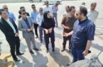 علیمرادی: گوگسر جاسک به رویه ملوانی اضافه می‌شود